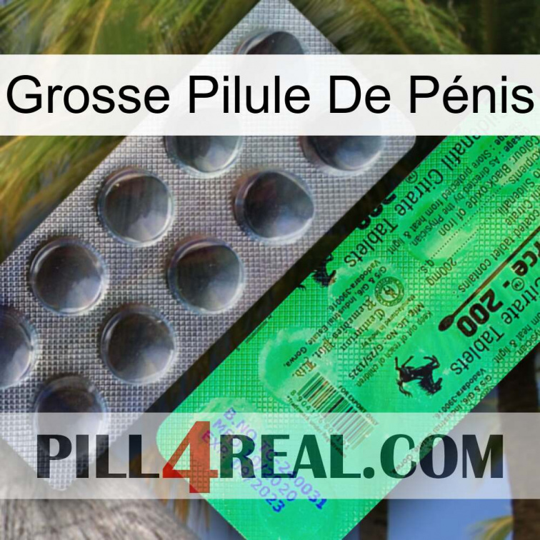 Grosse Pilule De Pénis new04